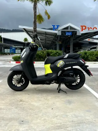 Honda Scoopy 110 Standard thumbnail 4