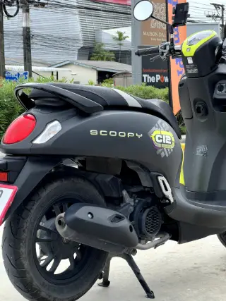 Honda Scoopy 110 Standard thumbnail 6