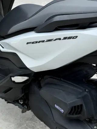 Honda Forza 350 RoadSync thumbnail 4