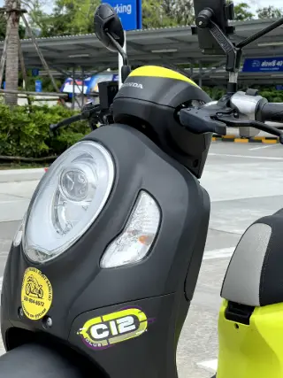 Honda Scoopy 110 Standard thumbnail 3